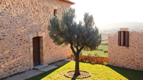 Pourquoi choisir un architecte à Fontiers-Cabardès pour vos constructions